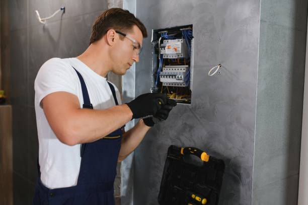 Best Electric Panel Repair  in Terra Alta, WV